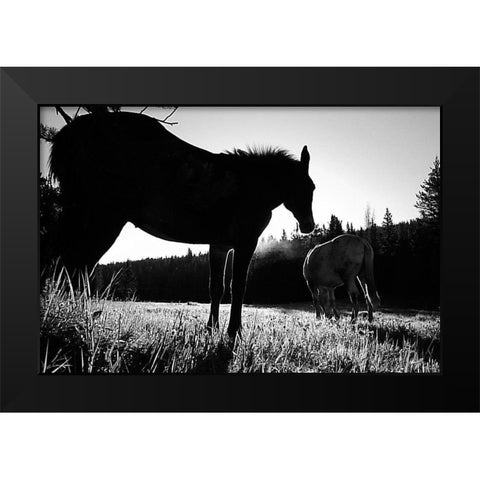 Frank Church-River of No Return Wilderness, Payette National Forest II Black Modern Wood Framed Art Print by The Yellowstone Collection