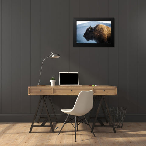 Bison V, Lamar Valley, Yellowstone National Park Black Modern Wood Framed Art Print by The Yellowstone Collection