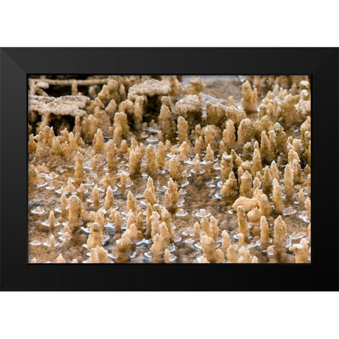 Calcium Carbonate Formations, Mammoth Hot Springs, Yellowstone National Park Black Modern Wood Framed Art Print by Renkin, Diane