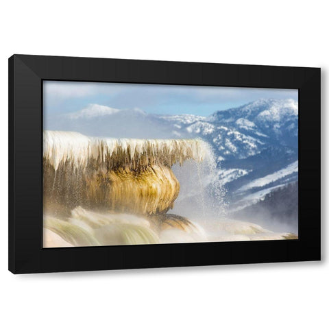 Canary Spring, Mammoth Hot Springs, Yellowstone National Park Black Modern Wood Framed Art Print with Double Matting by The Yellowstone Collection