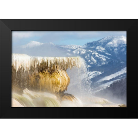 Canary Spring, Mammoth Hot Springs, Yellowstone National Park Black Modern Wood Framed Art Print by The Yellowstone Collection