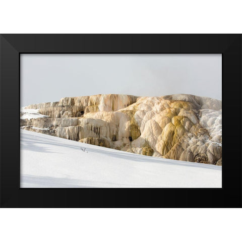 Cleopatra Spring, Mammoth Hot Springs, Yellowstone National Park Black Modern Wood Framed Art Print by The Yellowstone Collection