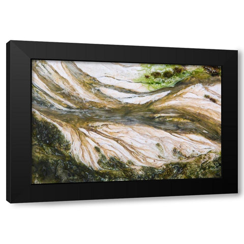 Colorful Bacteria at Mammoth Hot Springs, Yellowstone National Park Black Modern Wood Framed Art Print with Double Matting by The Yellowstone Collection