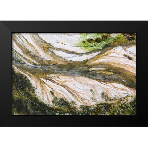 Colorful Bacteria at Mammoth Hot Springs, Yellowstone National Park Black Modern Wood Framed Art Print by The Yellowstone Collection