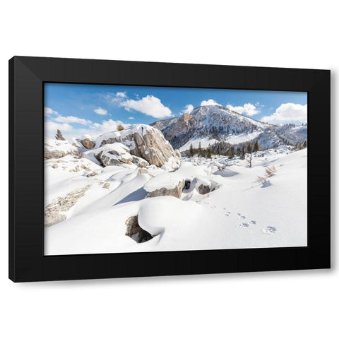 Coyote tracks in the Hoodoos, Yellowstone National Park Black Modern Wood Framed Art Print with Double Matting by The Yellowstone Collection