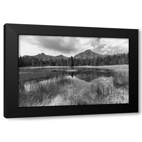Custer-Gallatin National Forest, Knox Lake Trail, Yellowstone National Park Black Modern Wood Framed Art Print by The Yellowstone Collection