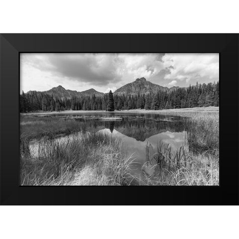 Custer-Gallatin National Forest, Knox Lake Trail, Yellowstone National Park Black Modern Wood Framed Art Print by The Yellowstone Collection