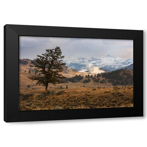 Cutoff Mountain from Lamar Valley, Yellowstone National Park Black Modern Wood Framed Art Print with Double Matting by The Yellowstone Collection