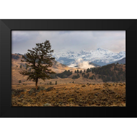 Cutoff Mountain from Lamar Valley, Yellowstone National Park Black Modern Wood Framed Art Print by The Yellowstone Collection