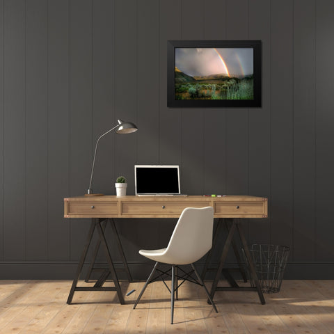 Double Rainbow from Lower Mammoth, Yellowstone National Park Black Modern Wood Framed Art Print by The Yellowstone Collection