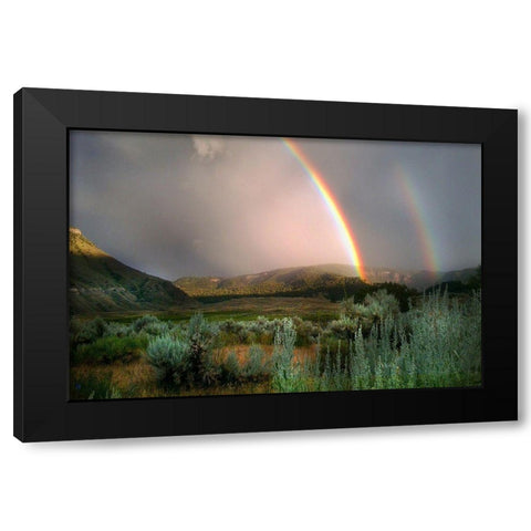 Double Rainbow from Lower Mammoth, Yellowstone National Park Black Modern Wood Framed Art Print by The Yellowstone Collection