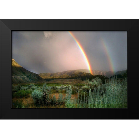 Double Rainbow from Lower Mammoth, Yellowstone National Park Black Modern Wood Framed Art Print by The Yellowstone Collection