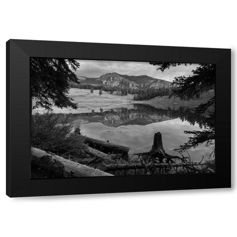 Early Morning at Trout Lake, Yellowstone National Park Black Modern Wood Framed Art Print with Double Matting by The Yellowstone Collection