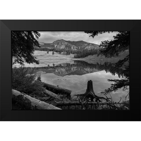 Early Morning at Trout Lake, Yellowstone National Park Black Modern Wood Framed Art Print by The Yellowstone Collection