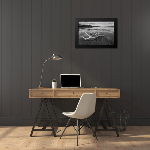Elk Antlers, Yellowstone Lake, Yellowstone National Park Black Modern Wood Framed Art Print by The Yellowstone Collection