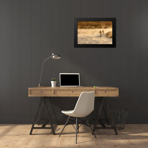 Fall Fishing on the Madison River, Yellowstone National Park Black Modern Wood Framed Art Print by Frank, Jacob W.