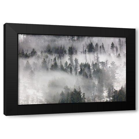 Fog in Lamar Valley, Yellowstone National Park Black Modern Wood Framed Art Print by The Yellowstone Collection