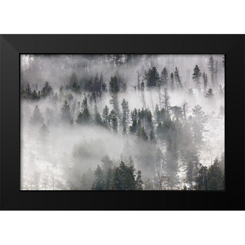 Fog in Lamar Valley, Yellowstone National Park Black Modern Wood Framed Art Print by The Yellowstone Collection