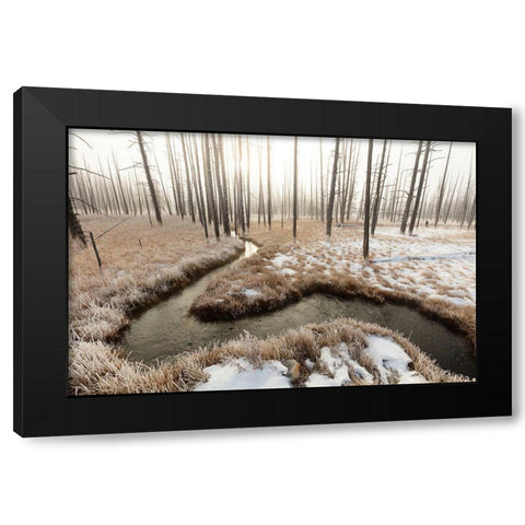 Foggy Morning at Tangled Creek, Yellowstone National Park Black Modern Wood Framed Art Print by The Yellowstone Collection