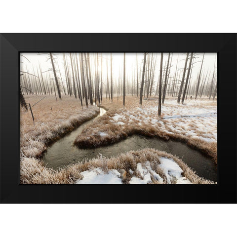 Foggy Morning at Tangled Creek, Yellowstone National Park Black Modern Wood Framed Art Print by The Yellowstone Collection