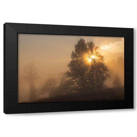 Foggy Sunrise, Blacktail Deer Plateau, Yellowstone National Park Black Modern Wood Framed Art Print with Double Matting by The Yellowstone Collection