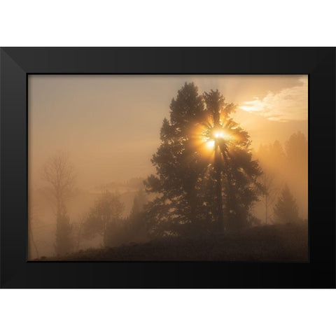 Foggy Sunrise, Blacktail Deer Plateau, Yellowstone National Park Black Modern Wood Framed Art Print by The Yellowstone Collection