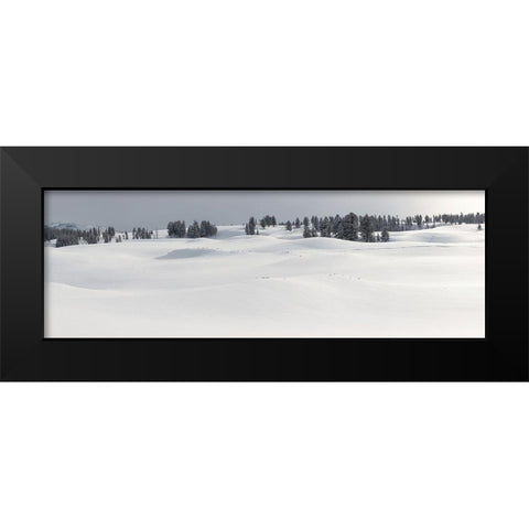 Fresh Snow, Blacktail Deer Plateau, Yellowstone National Park Black Modern Wood Framed Art Print by The Yellowstone Collection