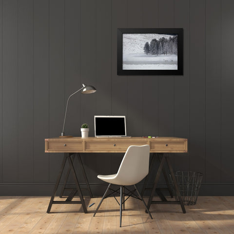 Frosty Trees in Hayden Valley, Yellowstone National Park Black Modern Wood Framed Art Print by The Yellowstone Collection