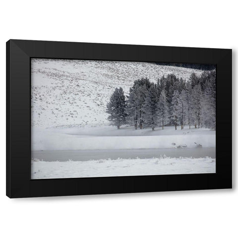 Frosty Trees in Hayden Valley, Yellowstone National Park Black Modern Wood Framed Art Print with Double Matting by The Yellowstone Collection