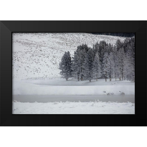 Frosty Trees in Hayden Valley, Yellowstone National Park Black Modern Wood Framed Art Print by The Yellowstone Collection