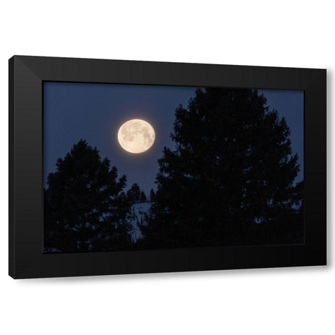 Full Moon sets Over Sepulcher Mountain, Yellowstone National Park Black Modern Wood Framed Art Print with Double Matting by The Yellowstone Collection