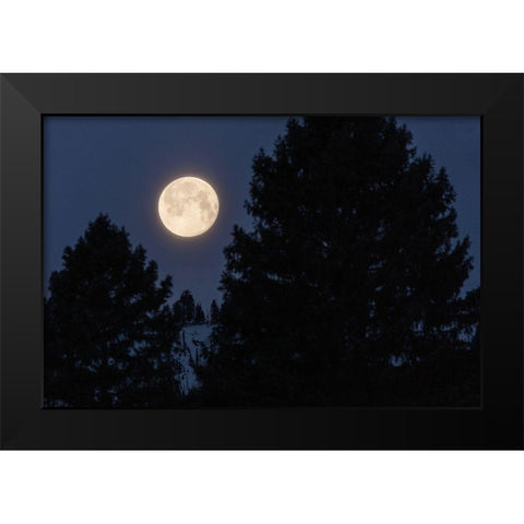 Full Moon sets Over Sepulcher Mountain, Yellowstone National Park Black Modern Wood Framed Art Print by The Yellowstone Collection