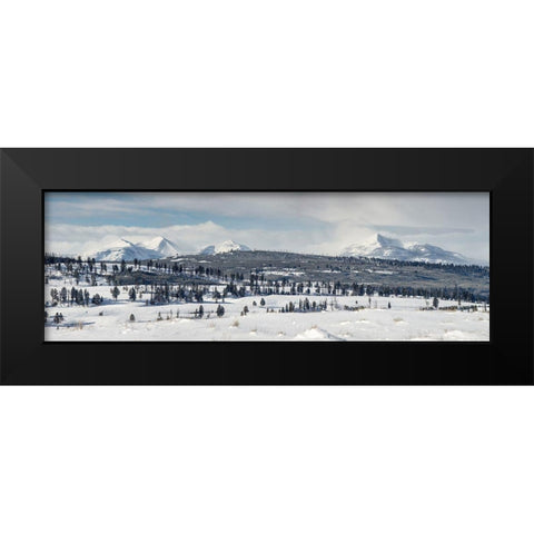 Gallatin Mountains from Blacktail Deer Plateau, Yellowstone National Park Black Modern Wood Framed Art Print by The Yellowstone Collection