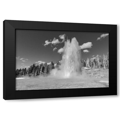 Grand Geyser Eruption, Yellowstone National Park Black Modern Wood Framed Art Print by The Yellowstone Collection