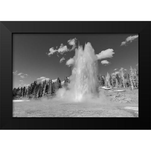 Grand Geyser Eruption, Yellowstone National Park Black Modern Wood Framed Art Print by The Yellowstone Collection