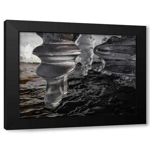 Hidden Gems in Pebble Creek, Yellowstone National Park Black Modern Wood Framed Art Print with Double Matting by The Yellowstone Collection