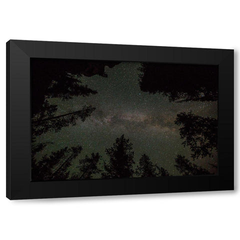 Milky Way and Lodgepole Pines, Yellowstone National Park Black Modern Wood Framed Art Print by The Yellowstone Collection