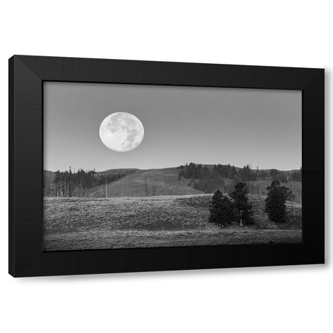 Moonset, Lamar Valley, Yellowstone National Park Black Modern Wood Framed Art Print with Double Matting by Herbert, Neal