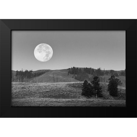 Moonset, Lamar Valley, Yellowstone National Park Black Modern Wood Framed Art Print by Herbert, Neal