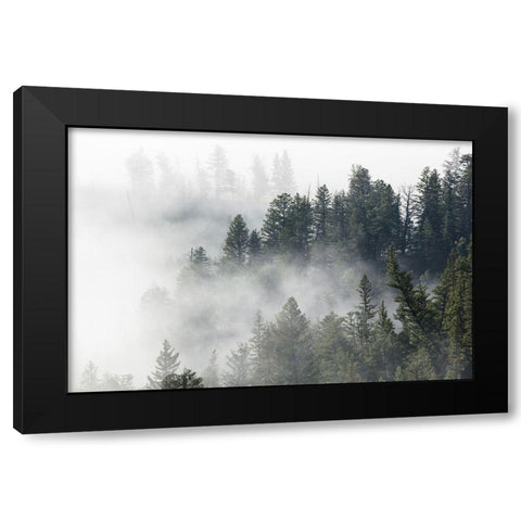 Morning Fog near Tower Fall, Yellowstone National Park Black Modern Wood Framed Art Print with Double Matting by The Yellowstone Collection