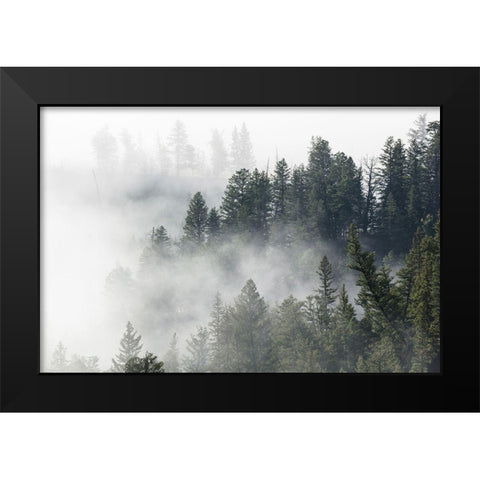 Morning Fog near Tower Fall, Yellowstone National Park Black Modern Wood Framed Art Print by The Yellowstone Collection