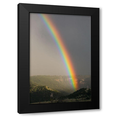 Gardner River Canyon near Mammoth, Yellowstone National Park Black Modern Wood Framed Art Print with Double Matting by The Yellowstone Collection