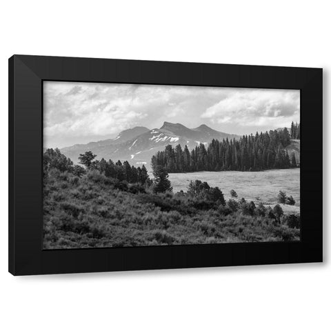 Saddle Mountain and Pollux Peak from Druid Peak hillside, Yellowstone National Park Black Modern Wood Framed Art Print with Double Matting by Frank, Jacob W.