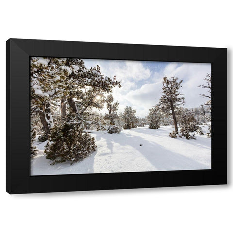 Snow Slurries at Mammoth Hot Springs Terraces, Yellowstone National Park Black Modern Wood Framed Art Print with Double Matting by The Yellowstone Collection