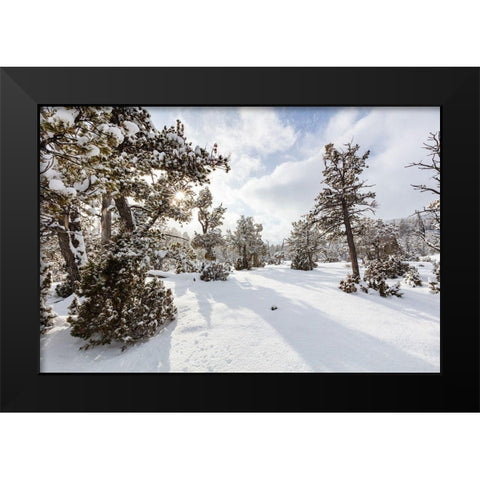 Snow Slurries at Mammoth Hot Springs Terraces, Yellowstone National Park Black Modern Wood Framed Art Print by The Yellowstone Collection