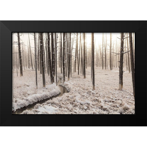Sunrise at Tangled Creek, Yellowstone National Park Black Modern Wood Framed Art Print by The Yellowstone Collection