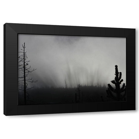 Roaring Mountain, Yellowstone National Park Black Modern Wood Framed Art Print by The Yellowstone Collection