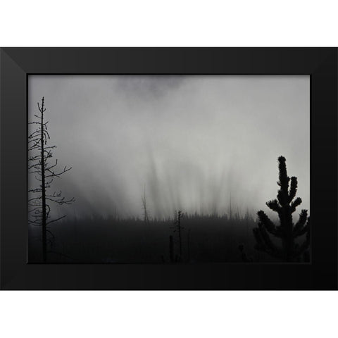 Roaring Mountain, Yellowstone National Park Black Modern Wood Framed Art Print by The Yellowstone Collection