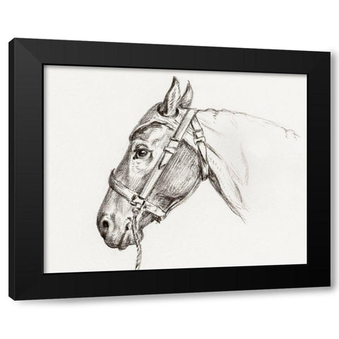 Head of a Horse I 1819 Black Modern Wood Framed Art Print by Bernard, Jean