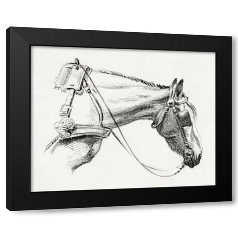 Head of a Horse III 1820 Black Modern Wood Framed Art Print with Double Matting by Bernard, Jean